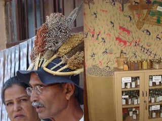 Participatory Plant Breeding, Biodiversity, Genetic Resources, Gender and Climate Changes