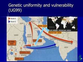 Participatory Plant Breeding, Biodiversity, Genetic Resources, Gender and Climate Changes