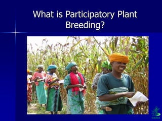 Participatory Plant Breeding, Biodiversity, Genetic Resources, Gender and Climate Changes
