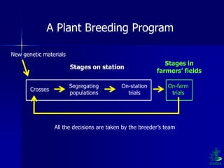 Participatory Plant Breeding, Biodiversity, Genetic Resources, Gender and Climate Changes