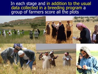 Participatory Plant Breeding, Biodiversity, Genetic Resources, Gender and Climate Changes