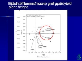 Participatory Plant Breeding, Biodiversity, Genetic Resources, Gender and Climate Changes