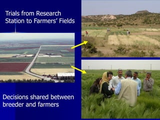 Participatory Plant Breeding, Biodiversity, Genetic Resources, Gender and Climate Changes