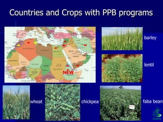 Participatory Plant Breeding, Biodiversity, Genetic Resources, Gender and Climate Changes