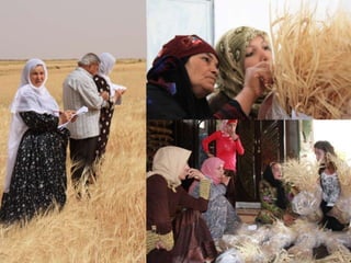 Participatory Plant Breeding, Biodiversity, Genetic Resources, Gender and Climate Changes