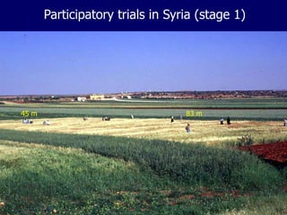 Participatory Plant Breeding, Biodiversity, Genetic Resources, Gender and Climate Changes