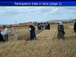 Participatory Plant Breeding, Biodiversity, Genetic Resources, Gender and Climate Changes