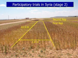 Participatory Plant Breeding, Biodiversity, Genetic Resources, Gender and Climate Changes