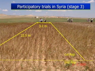 Participatory Plant Breeding, Biodiversity, Genetic Resources, Gender and Climate Changes