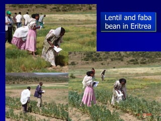 Participatory Plant Breeding, Biodiversity, Genetic Resources, Gender and Climate Changes