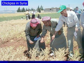 Participatory Plant Breeding, Biodiversity, Genetic Resources, Gender and Climate Changes