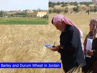 Participatory Plant Breeding, Biodiversity, Genetic Resources, Gender and Climate Changes