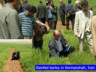 Participatory Plant Breeding, Biodiversity, Genetic Resources, Gender and Climate Changes