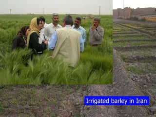 Participatory Plant Breeding, Biodiversity, Genetic Resources, Gender and Climate Changes