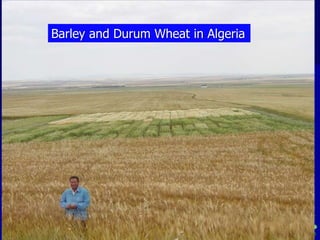 Participatory Plant Breeding, Biodiversity, Genetic Resources, Gender and Climate Changes