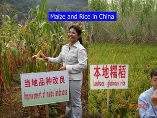 Participatory Plant Breeding, Biodiversity, Genetic Resources, Gender and Climate Changes