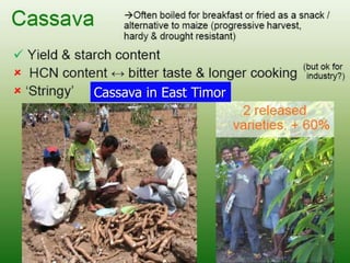 Participatory Plant Breeding, Biodiversity, Genetic Resources, Gender and Climate Changes