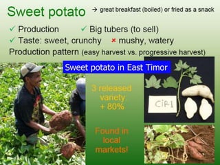 Participatory Plant Breeding, Biodiversity, Genetic Resources, Gender and Climate Changes