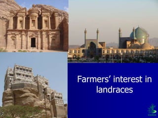 Participatory Plant Breeding, Biodiversity, Genetic Resources, Gender and Climate Changes