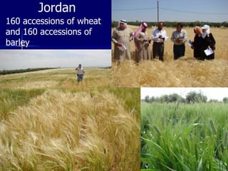 Participatory Plant Breeding, Biodiversity, Genetic Resources, Gender and Climate Changes