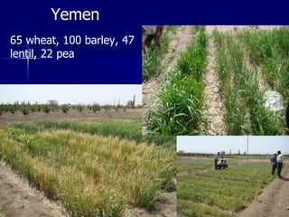 Participatory Plant Breeding, Biodiversity, Genetic Resources, Gender and Climate Changes