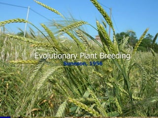 Participatory Plant Breeding, Biodiversity, Genetic Resources, Gender and Climate Changes