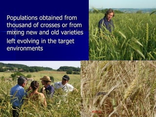 Participatory Plant Breeding, Biodiversity, Genetic Resources, Gender and Climate Changes