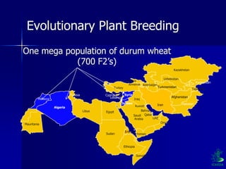 Participatory Plant Breeding, Biodiversity, Genetic Resources, Gender and Climate Changes