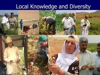 Participatory Plant Breeding, Biodiversity, Genetic Resources, Gender and Climate Changes