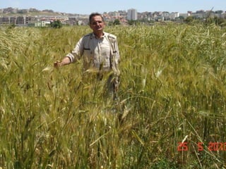 Participatory Plant Breeding, Biodiversity, Genetic Resources, Gender and Climate Changes