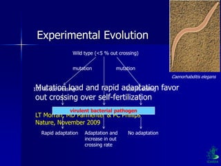 Participatory Plant Breeding, Biodiversity, Genetic Resources, Gender and Climate Changes