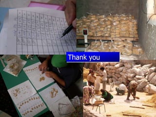 Participatory Plant Breeding, Biodiversity, Genetic Resources, Gender and Climate Changes