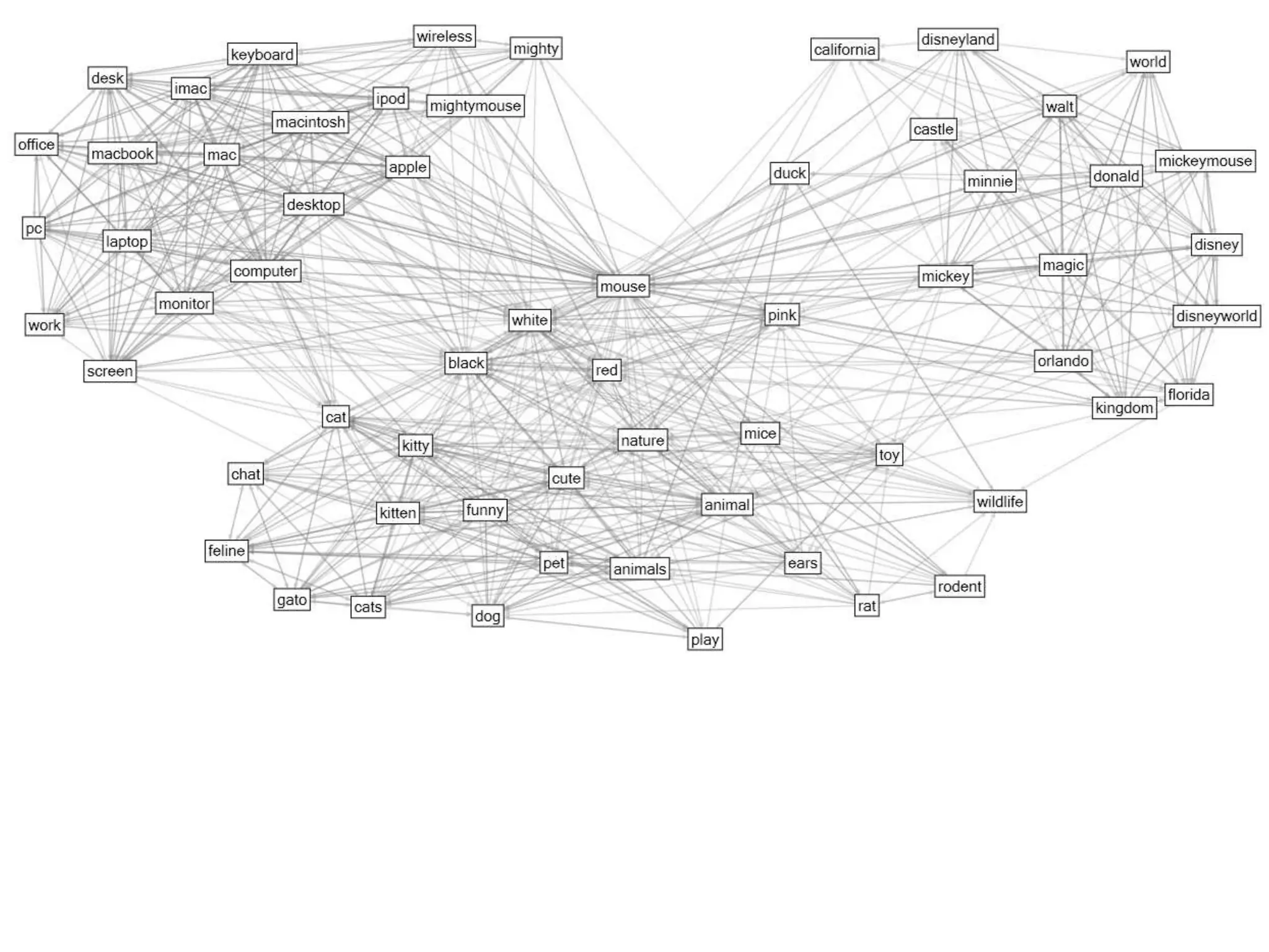 Robustness of the network