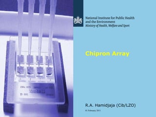 Chipron Array R.A. Hamidjaja (Cib/LZO) 