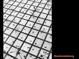 Dr. Matthias Lerm, Stadtarchitekt
Dezernat Stadtentwicklung · Fachbereich Stadtentwicklung und Stadtplanung
Jena, 11. September 2010
                                                                            Neubrandenburg
 