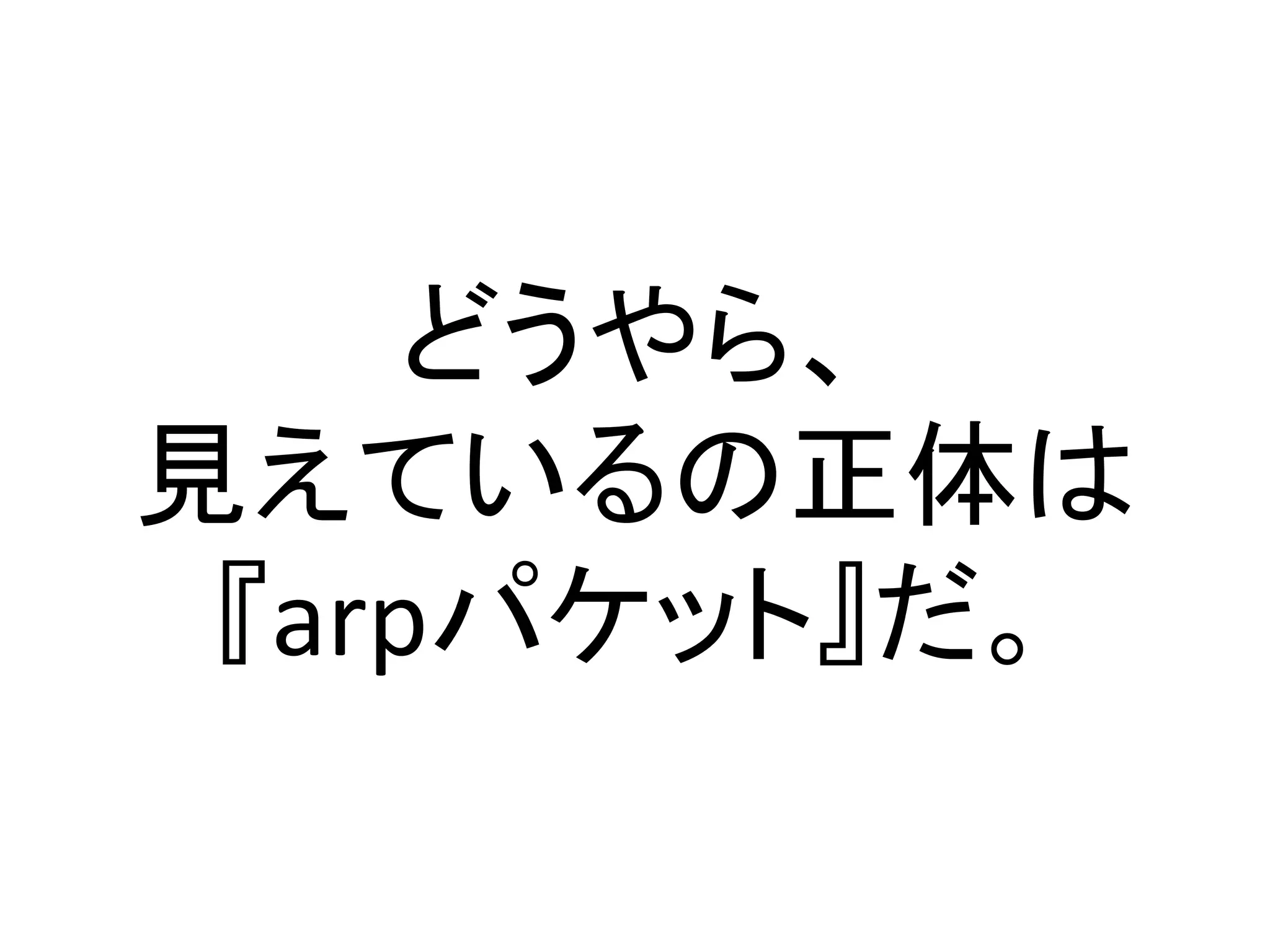 どうやら、
見えているの正体は
 『arpパケット』だ。
 