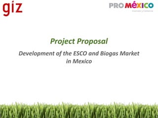 Project Proposal
Development of the ESCO and Biogas Market 
                in Mexico
 