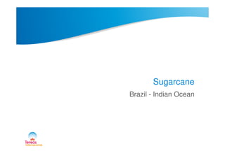SugarcaneSugarcane
Brazil - Indian Ocean
 