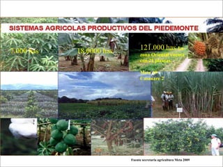 Impacto de la investigación del CIAT en los Llanos. Colombia