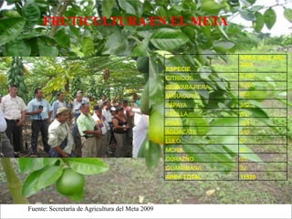 Impacto de la investigación del CIAT en los Llanos. Colombia