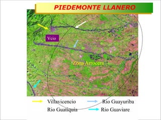 Impacto de la investigación del CIAT en los Llanos. Colombia