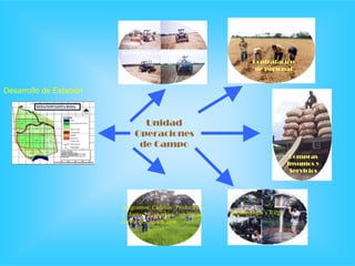 Impacto de la investigación del CIAT en los Llanos. Colombia