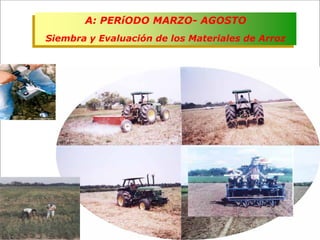 Impacto de la investigación del CIAT en los Llanos. Colombia