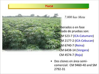 Impacto de la investigación del CIAT en los Llanos. Colombia