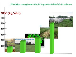 Impacto de la investigación del CIAT en los Llanos. Colombia