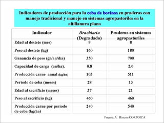 Impacto de la investigación del CIAT en los Llanos. Colombia