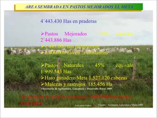 Impacto de la investigación del CIAT en los Llanos. Colombia