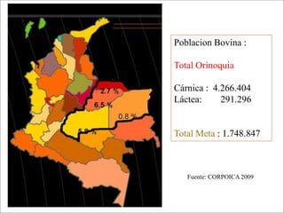 Impacto de la investigación del CIAT en los Llanos. Colombia