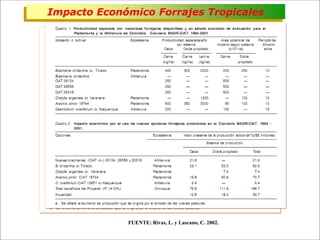Impacto de la investigación del CIAT en los Llanos. Colombia
