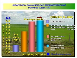 Impacto de la investigación del CIAT en los Llanos. Colombia